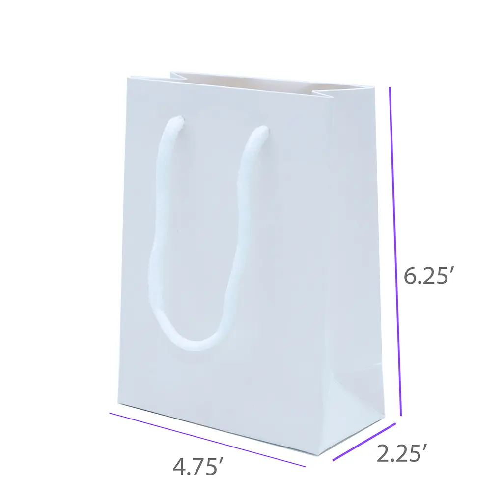 4.75x2.25x6.25 White Gift Bag With Handle