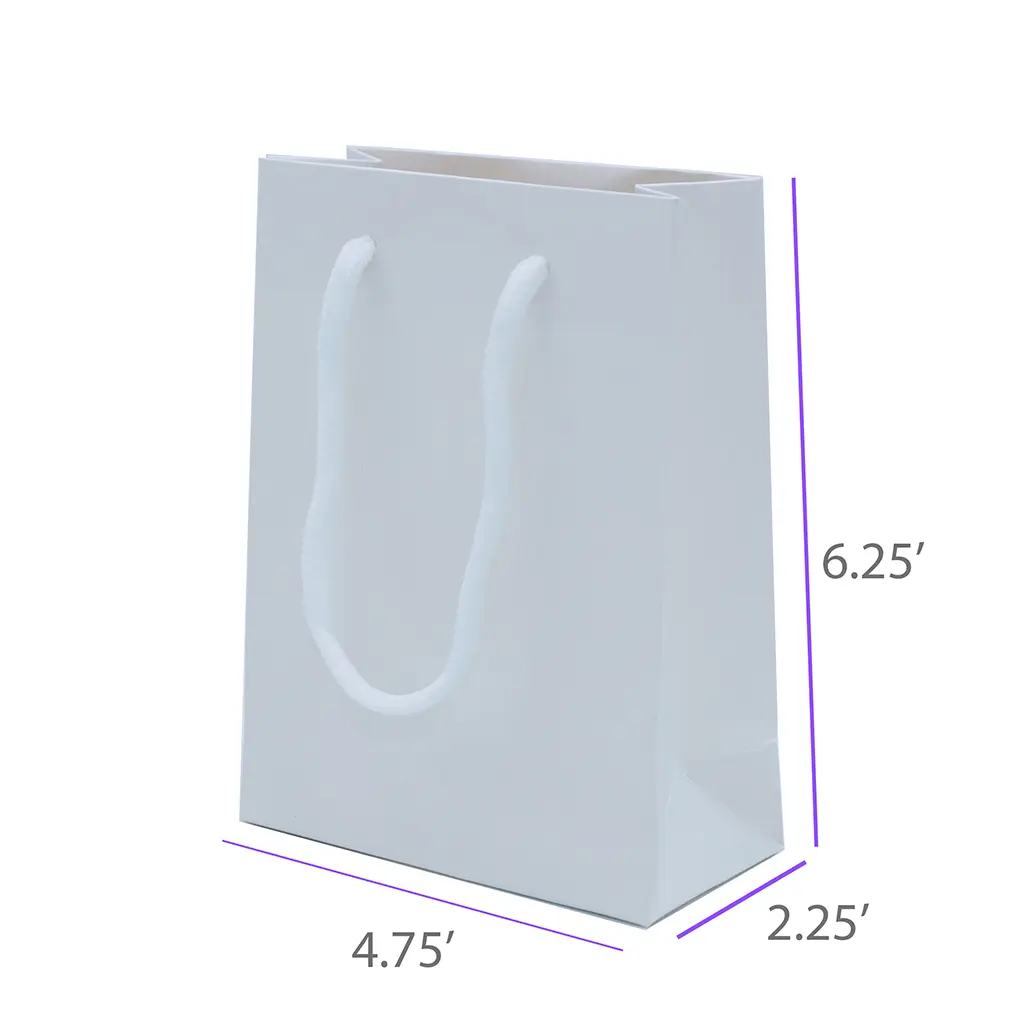 4.75x2.25x6.25 White Gift Bag With Handle