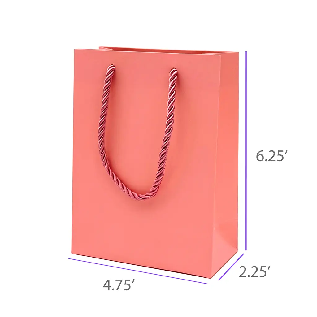 4.75x2.25x6.25 Pink Gift Bag With Handle