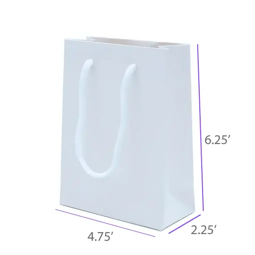 4.75x2.25x6.25 White Gift Bag With Handle