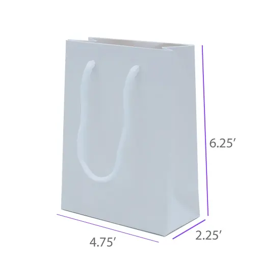4.75x2.25x6.25 White Gift Bag With Handle